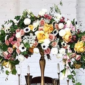 Meet your Posher, Brenda